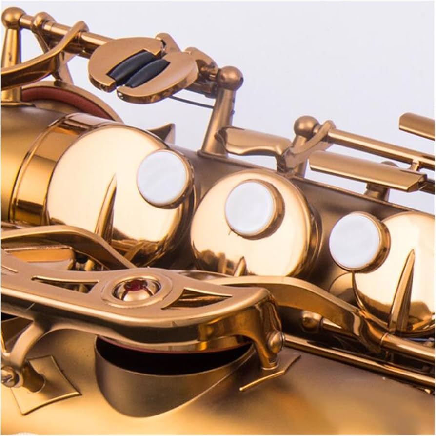 SHUNTIAN アルトサックスプロフェッショナル木管楽器ケース